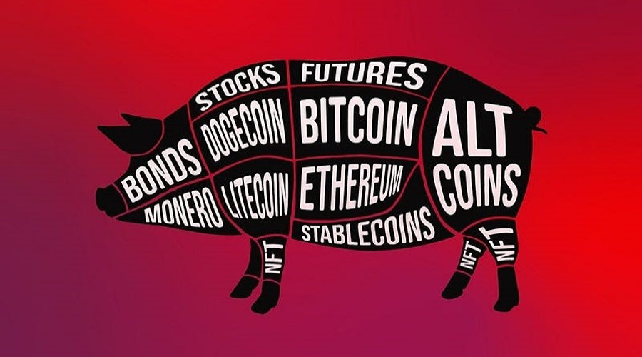 news-banner