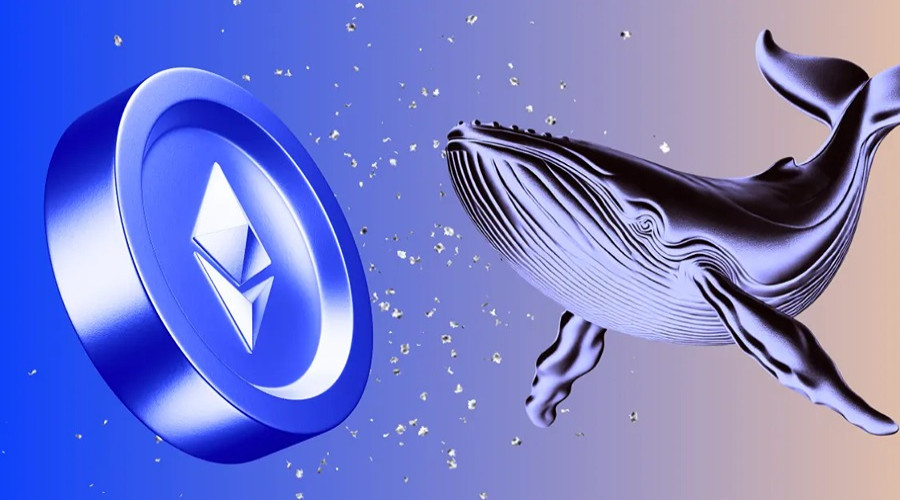 news-banner
