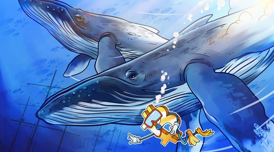 news-banner