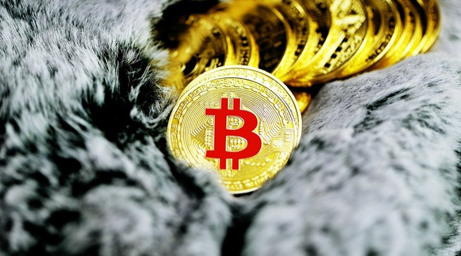 news-banner