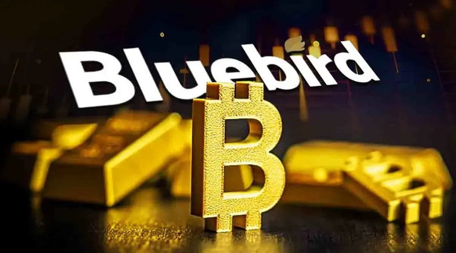 news-banner