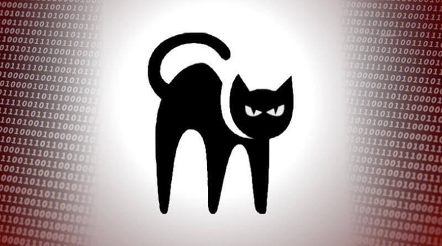 news-banner